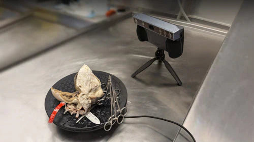 小児心臓病学における研究と学習の変革:3Dスキャン技術の活用